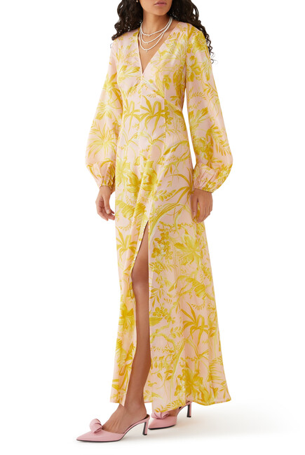 Long Sleeves Maxi Dress