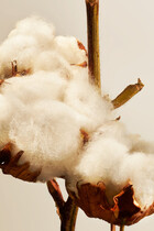 Cotton Blossom Fragrance Sticks, 450ml
