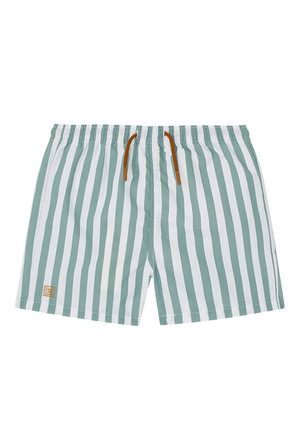 Striped Swim Shorts