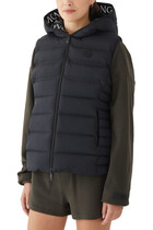 Aliterse Down Vest