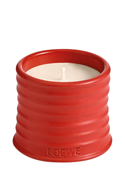 Tomato Leaves Scented Candle