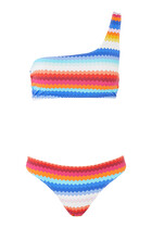 One-Shoulder Zigzag Bikini