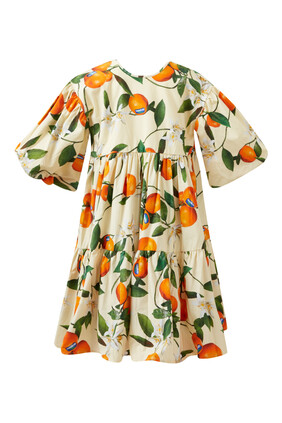 Mandarin Print Dress