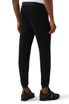 EA7 Gold Series Jogging Pants