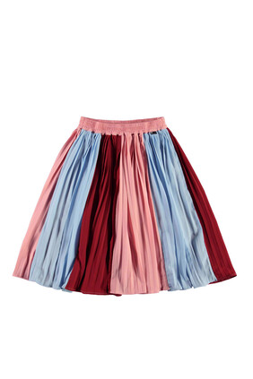 Becky Multi Colored Skirt