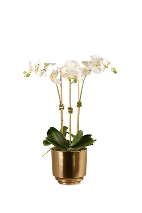 Artificial Orchid in Gold Vase