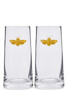 Creatures of Curiosity Highball Tumbler Set