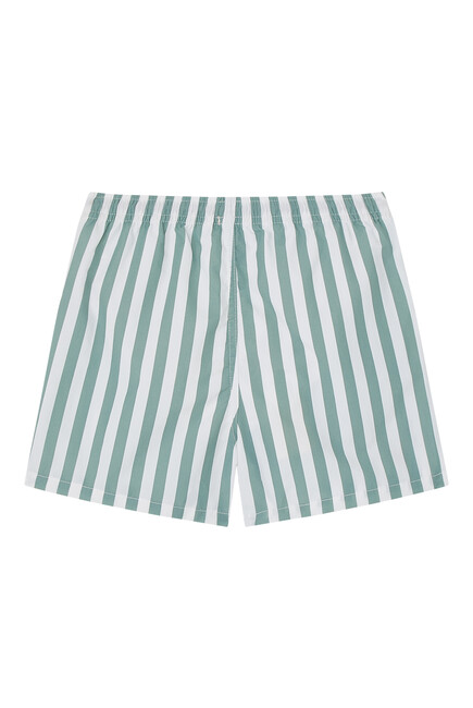 Striped Swim Shorts