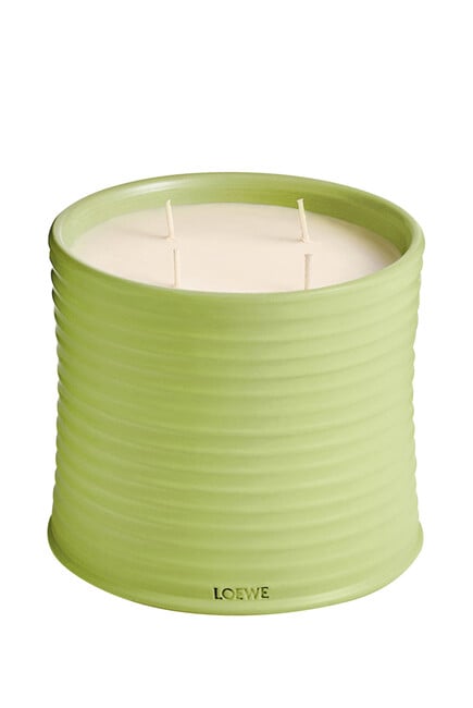Cucumber Scented Candle