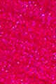 502 Fiery Pink