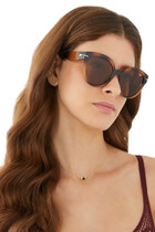 Capacious Acetate Round-Frame Sunglasses