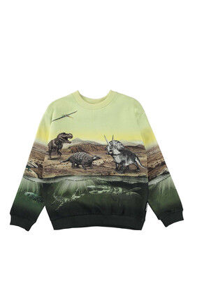 Dino Print Sweatshirt