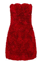 Gazer Rosette Mini Dress
