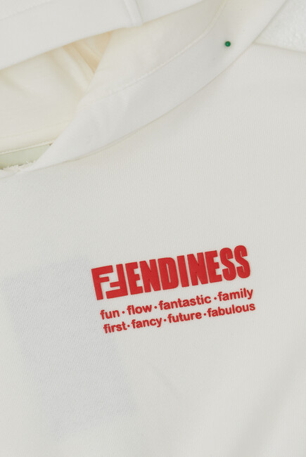 Fendiness Logo Hoodie
