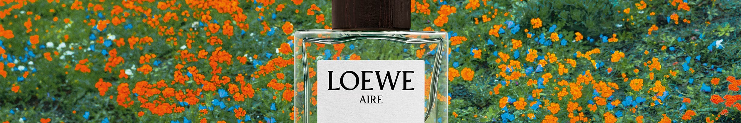 WK12_26-PLPBanner-BTY-Loewe