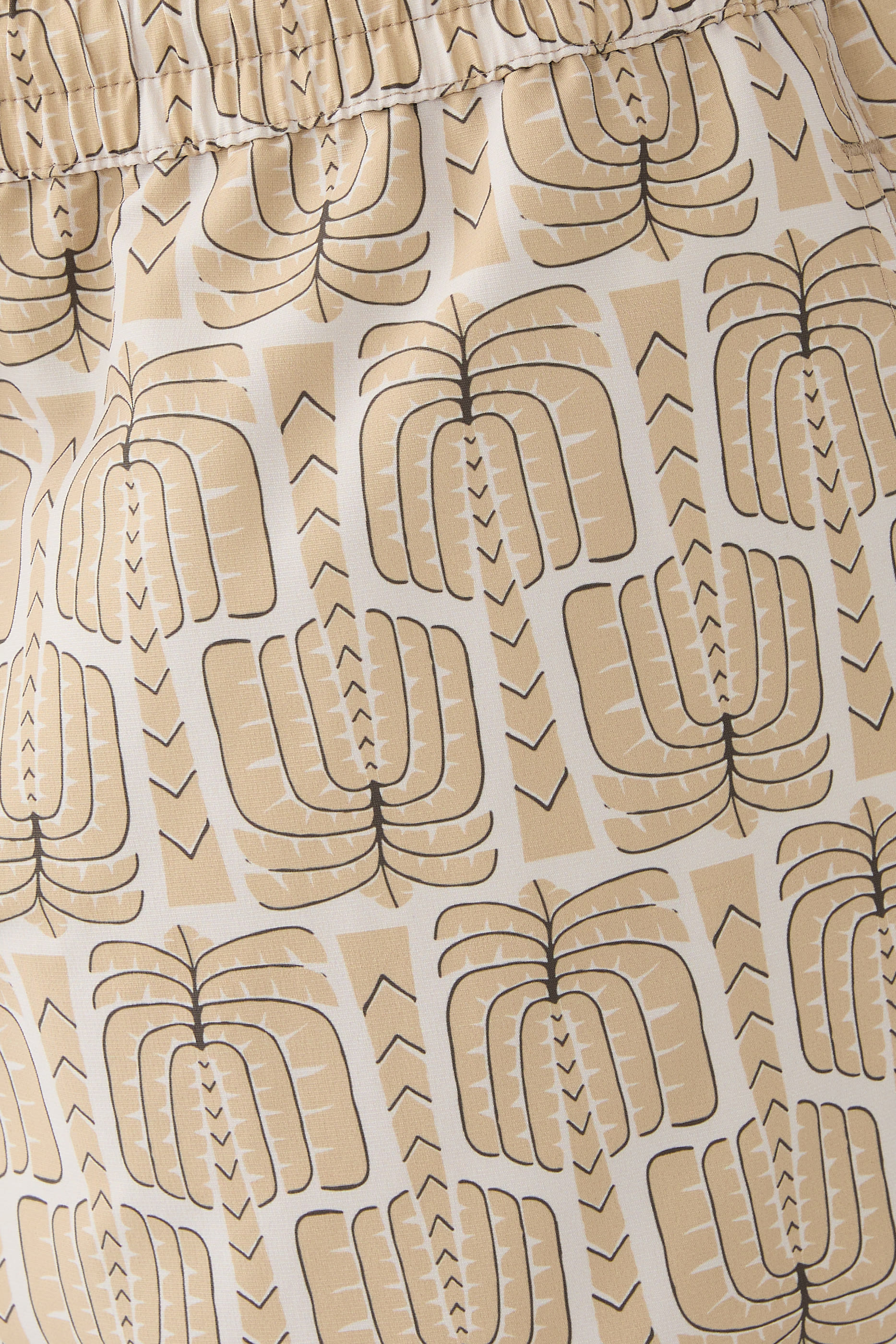 Palmeira Rio Sport Swim Shorts