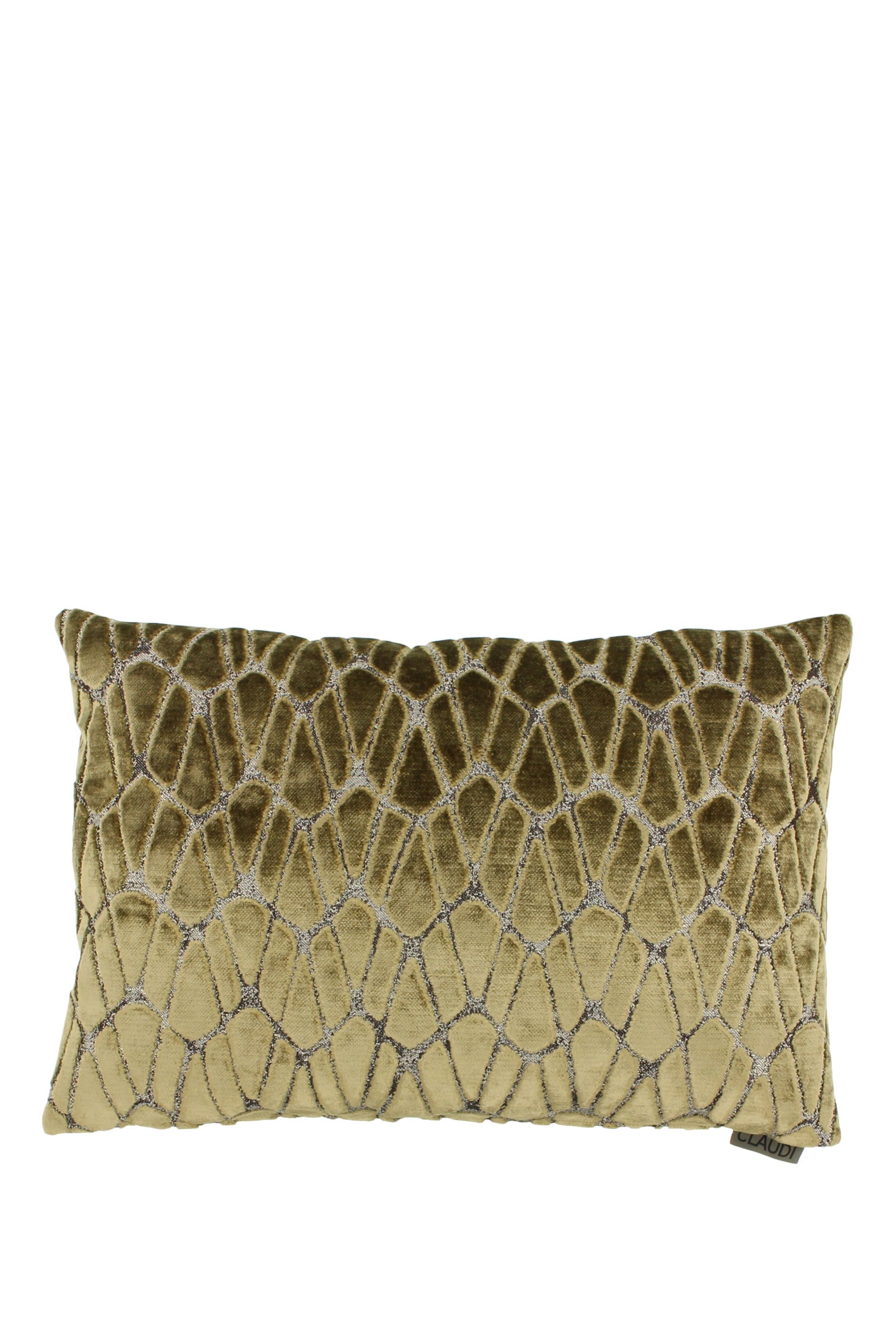 Rodolfo Decorative Cushion