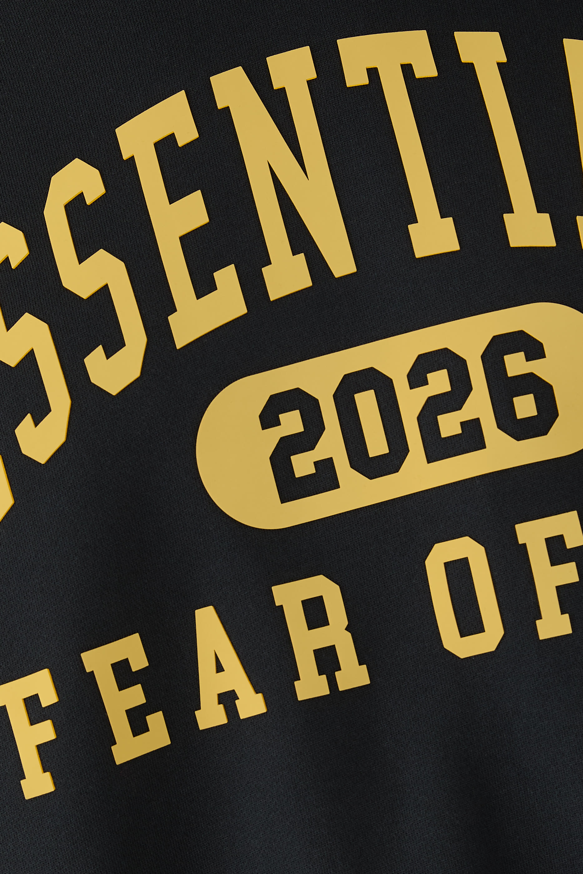 Classic Fleece Hoodie