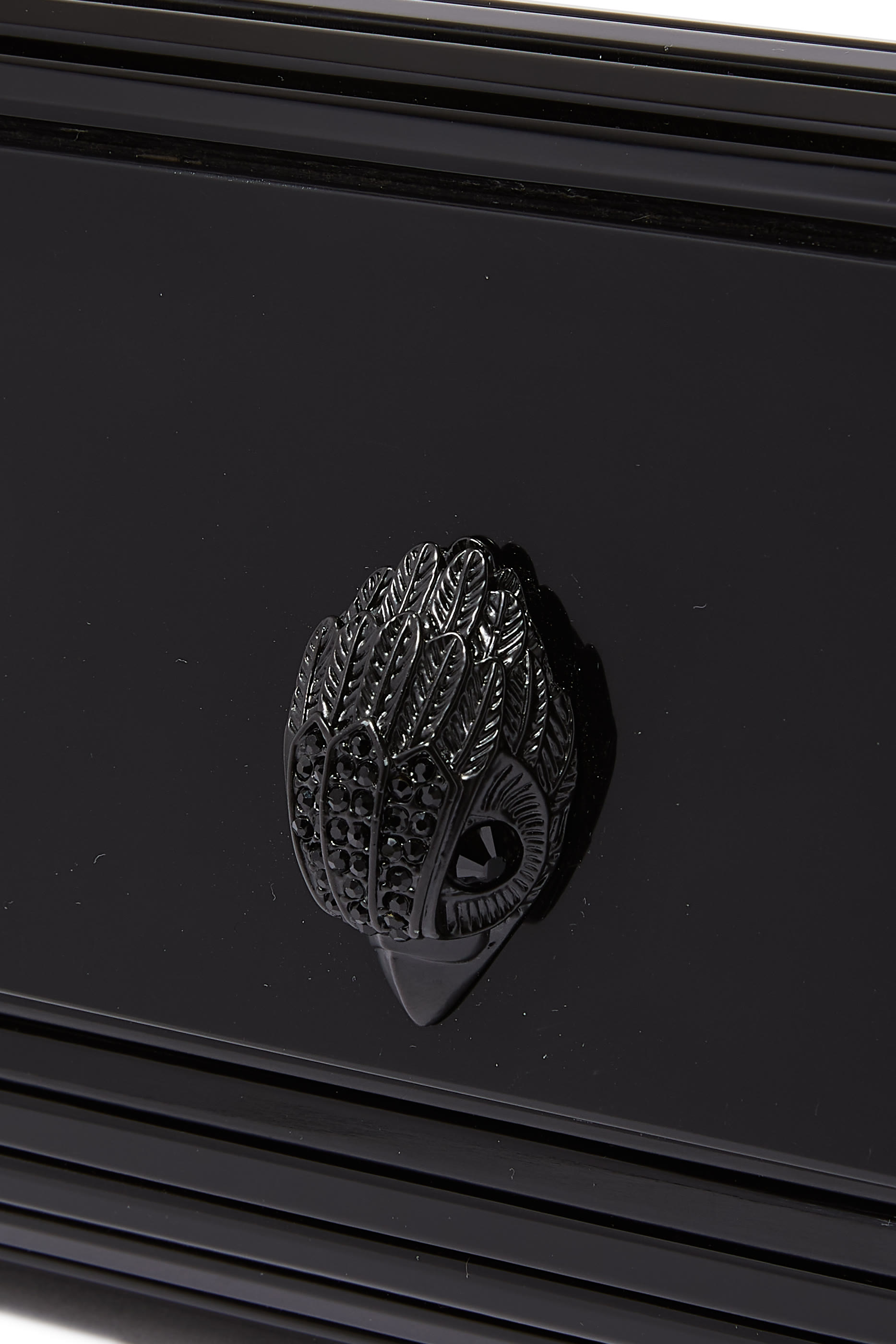 Party Eagle Plexi Envelope Clutch