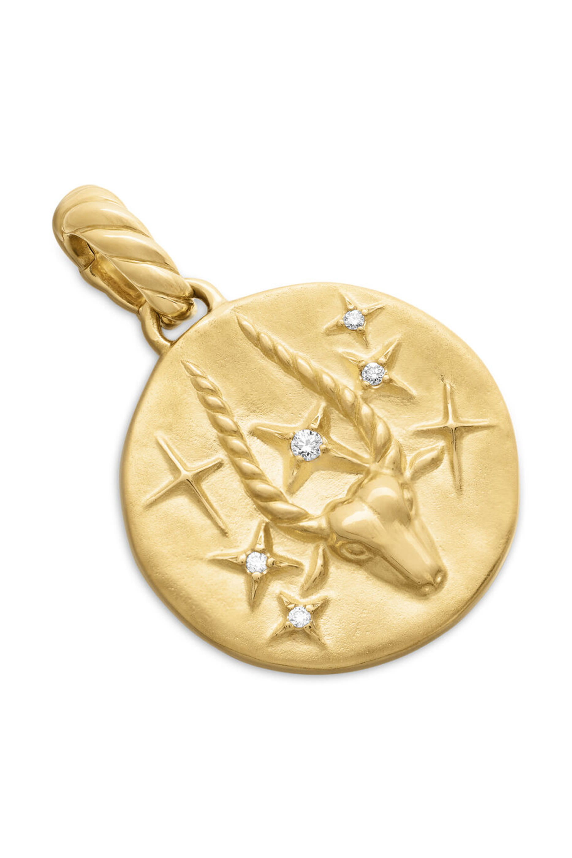 Capricorn Zodiac Amulet