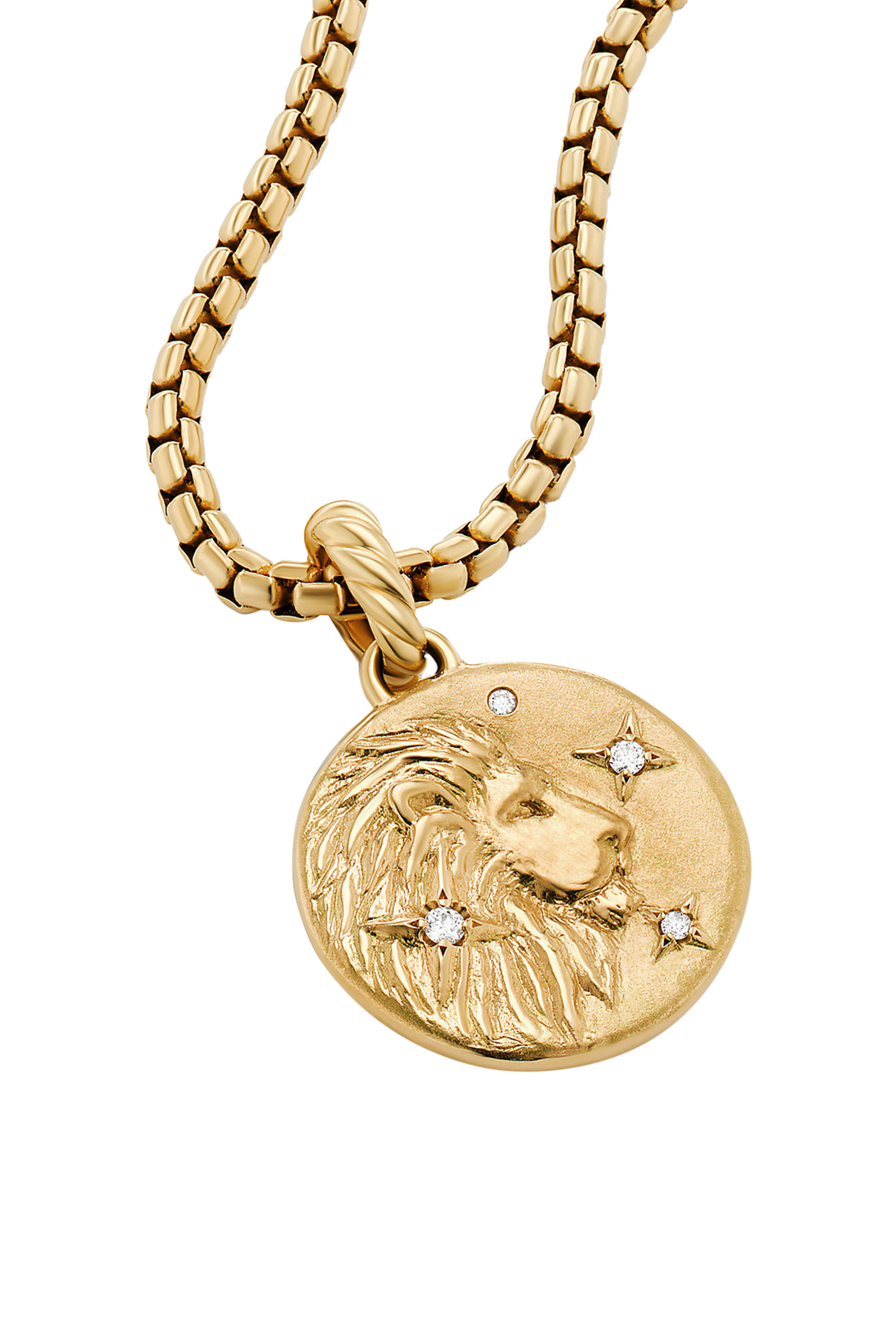 Leo Zodiac Amulet