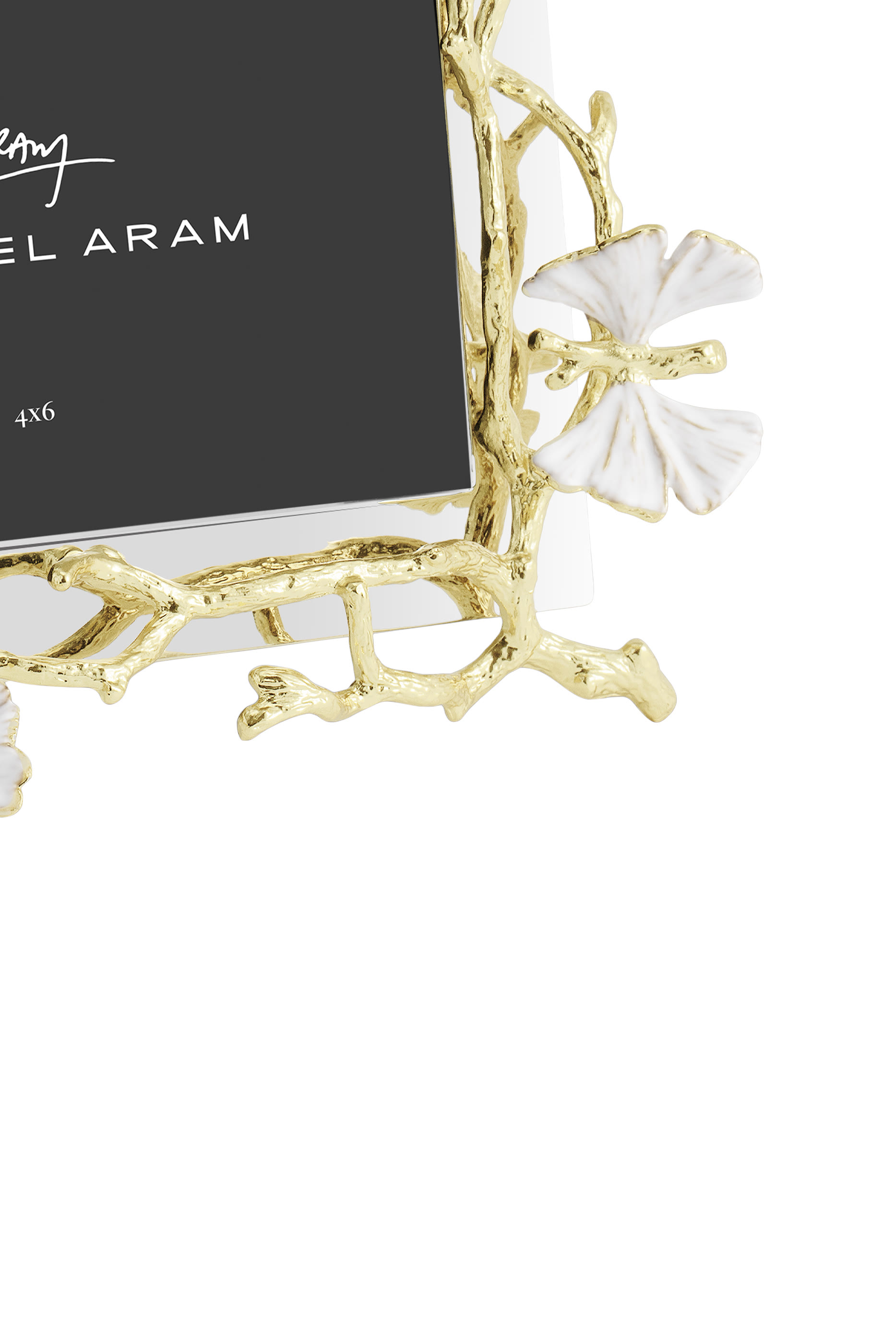 Butterfly Ginkgo Gold Reflective 4x6 Frame