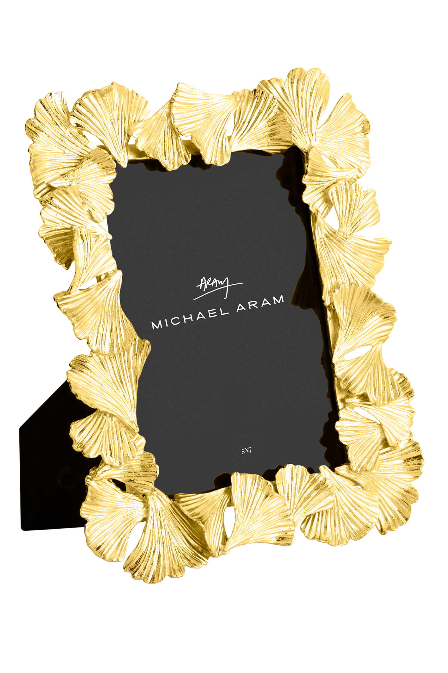 Golden Ginkgo Frame