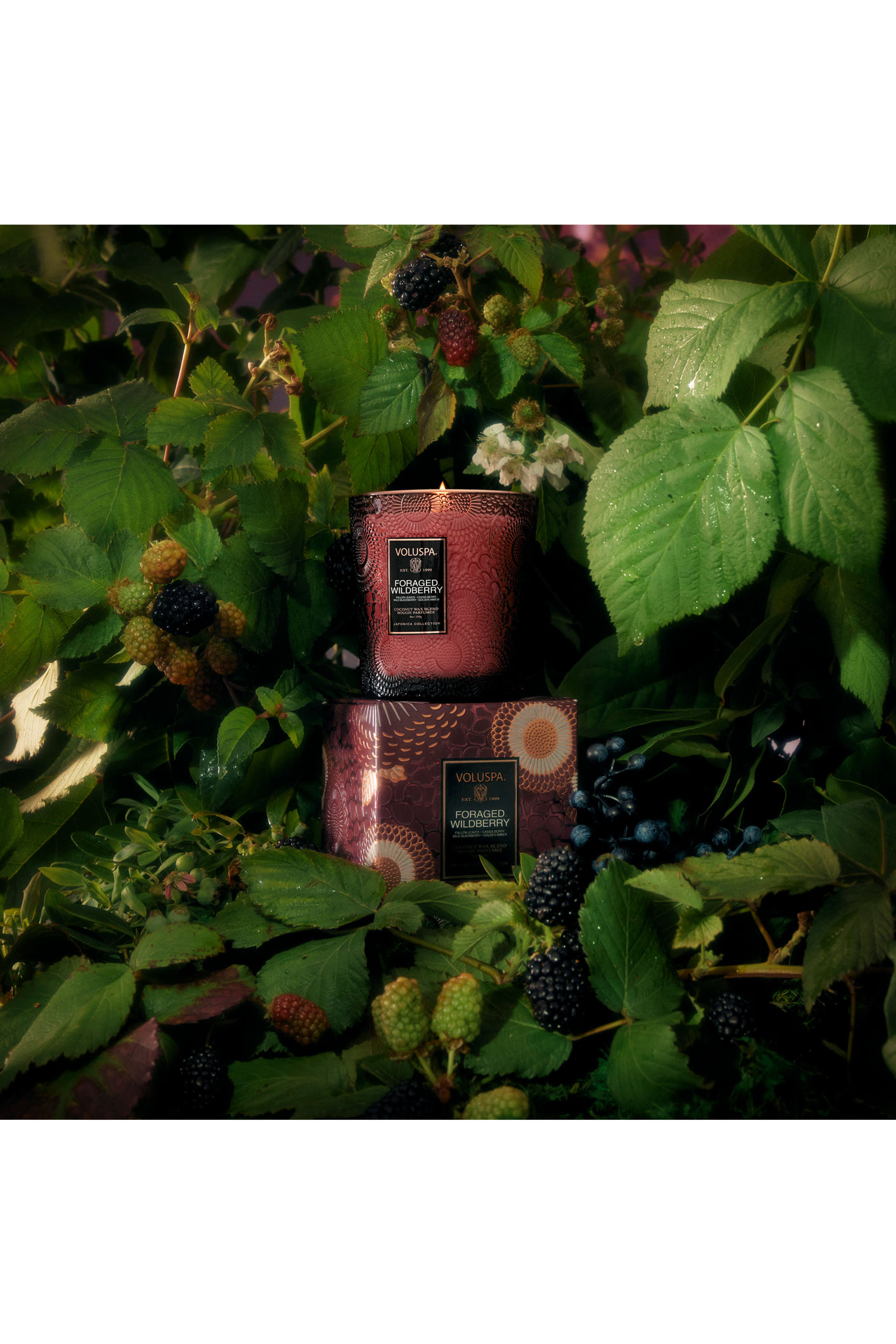 Foraged Wildberry Luxe Jar Candle