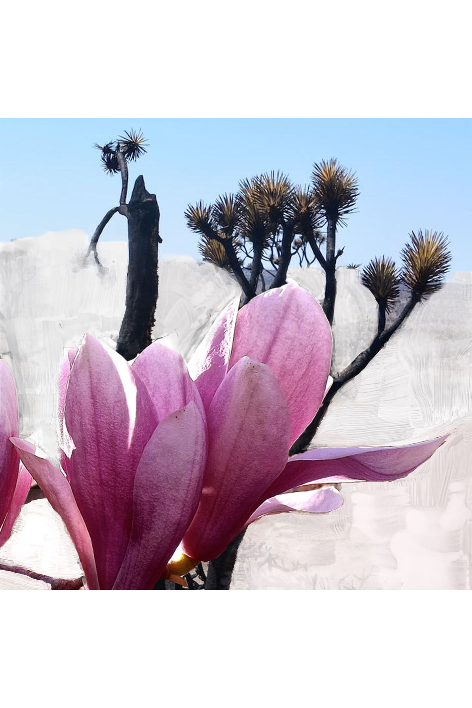 Mojave Ghost Eau de Parfum