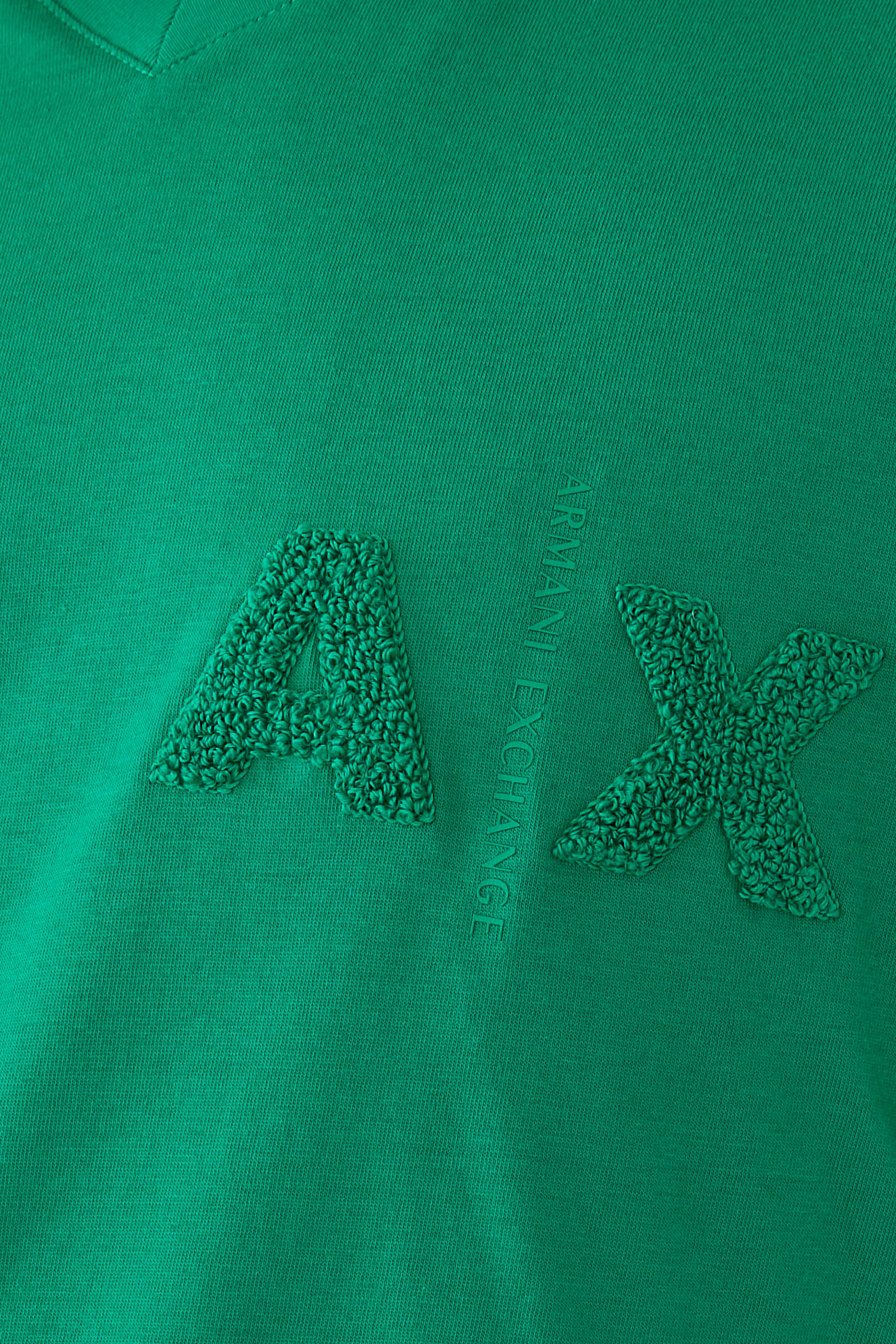 AX Logo V Neck Regular T-Shirt