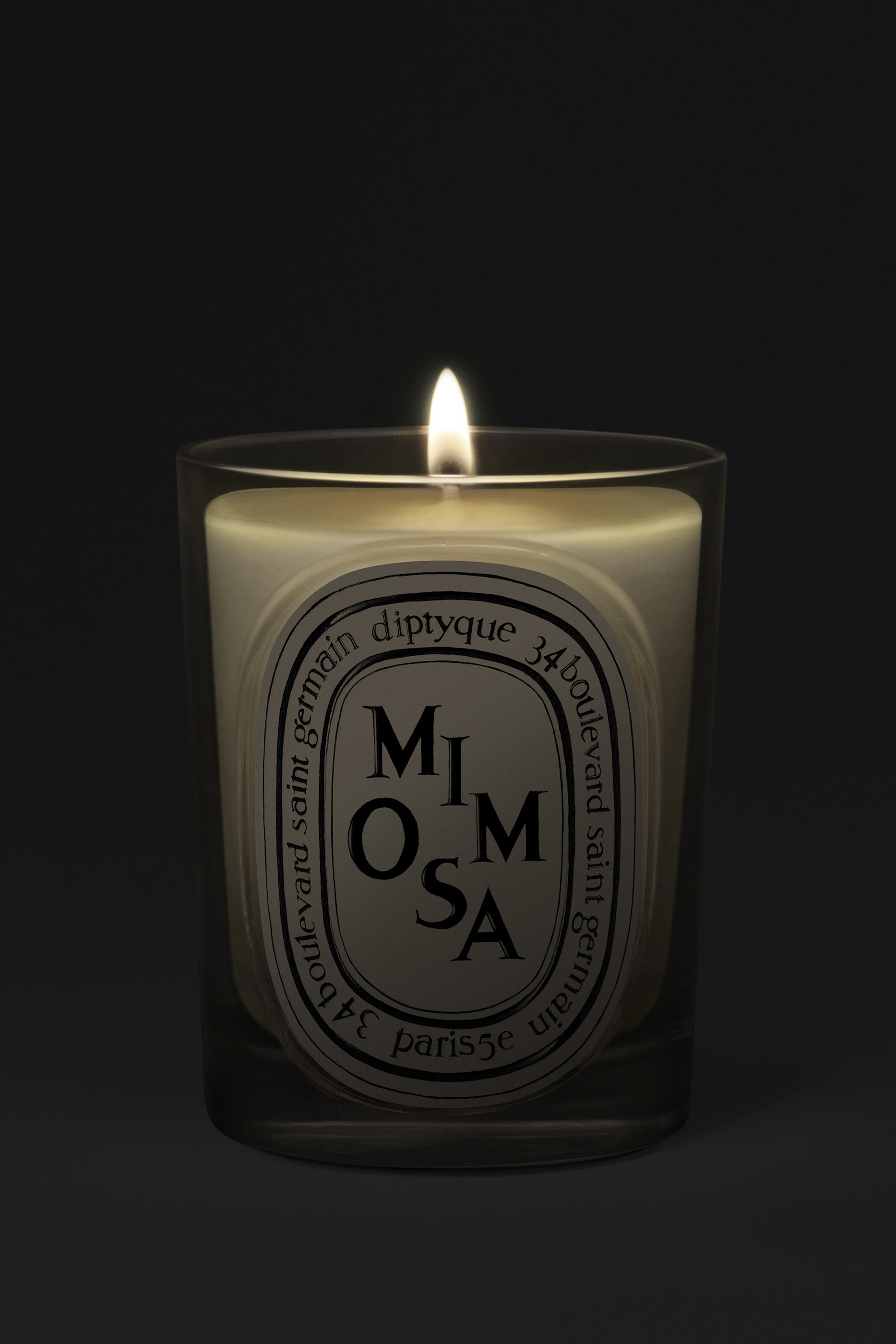Classic Mimosa Candle