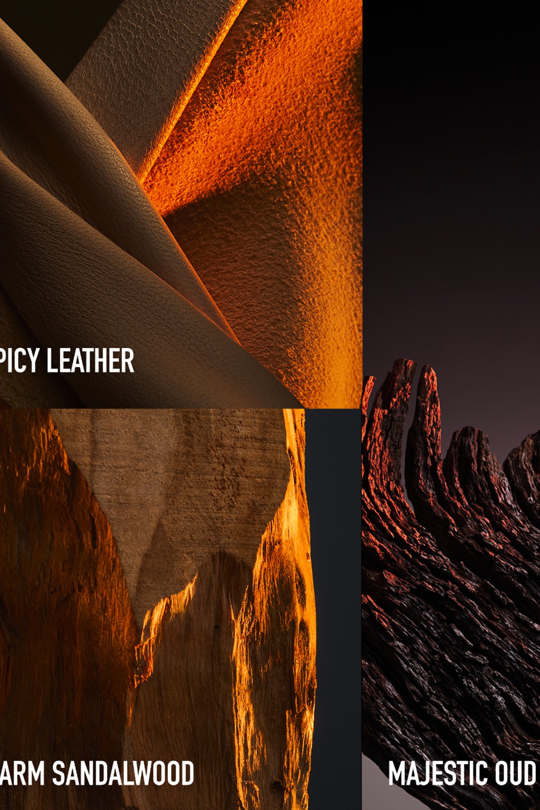 1 Million Golden Oud Parfum Intense