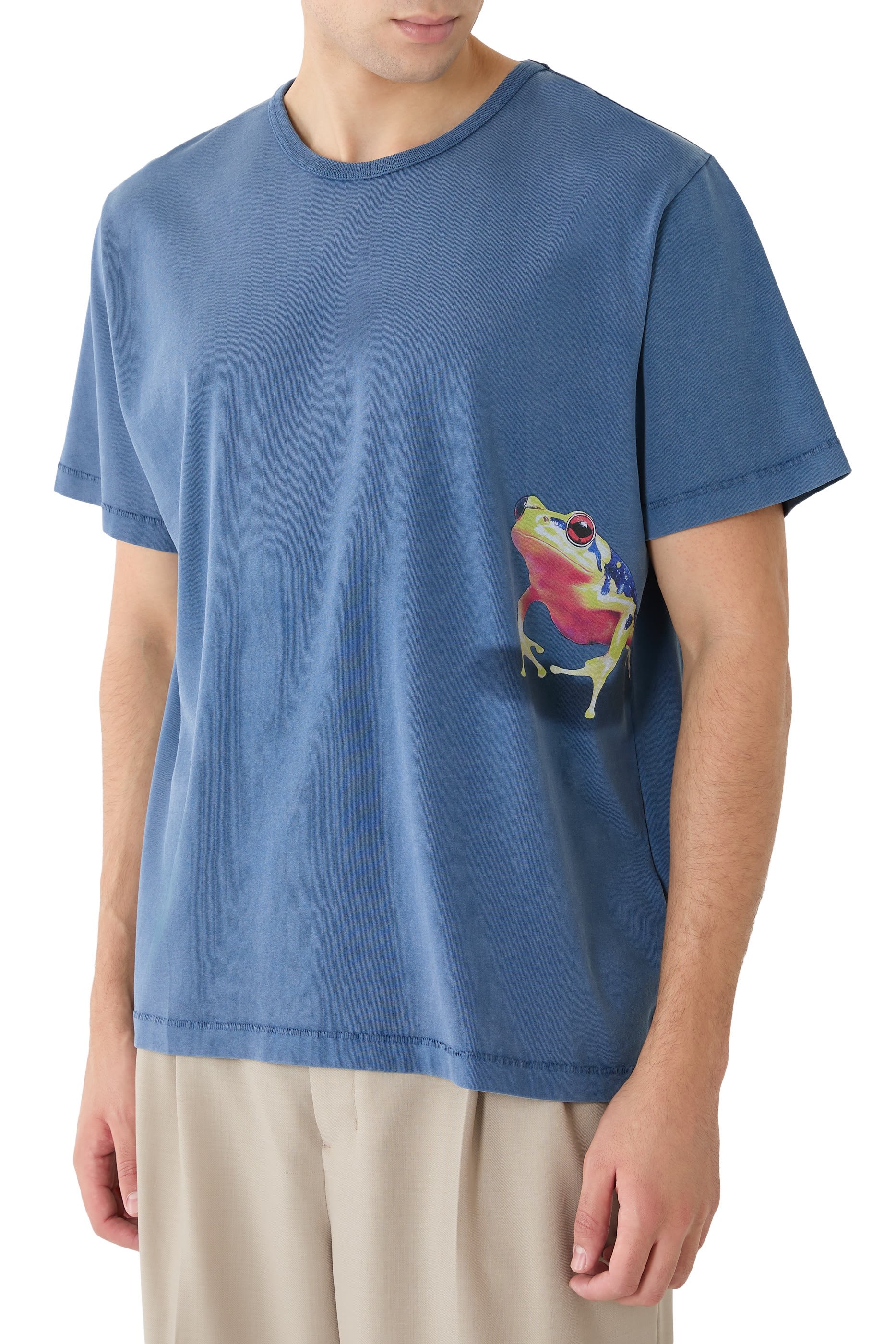 Peeking Frog T-Shirt
