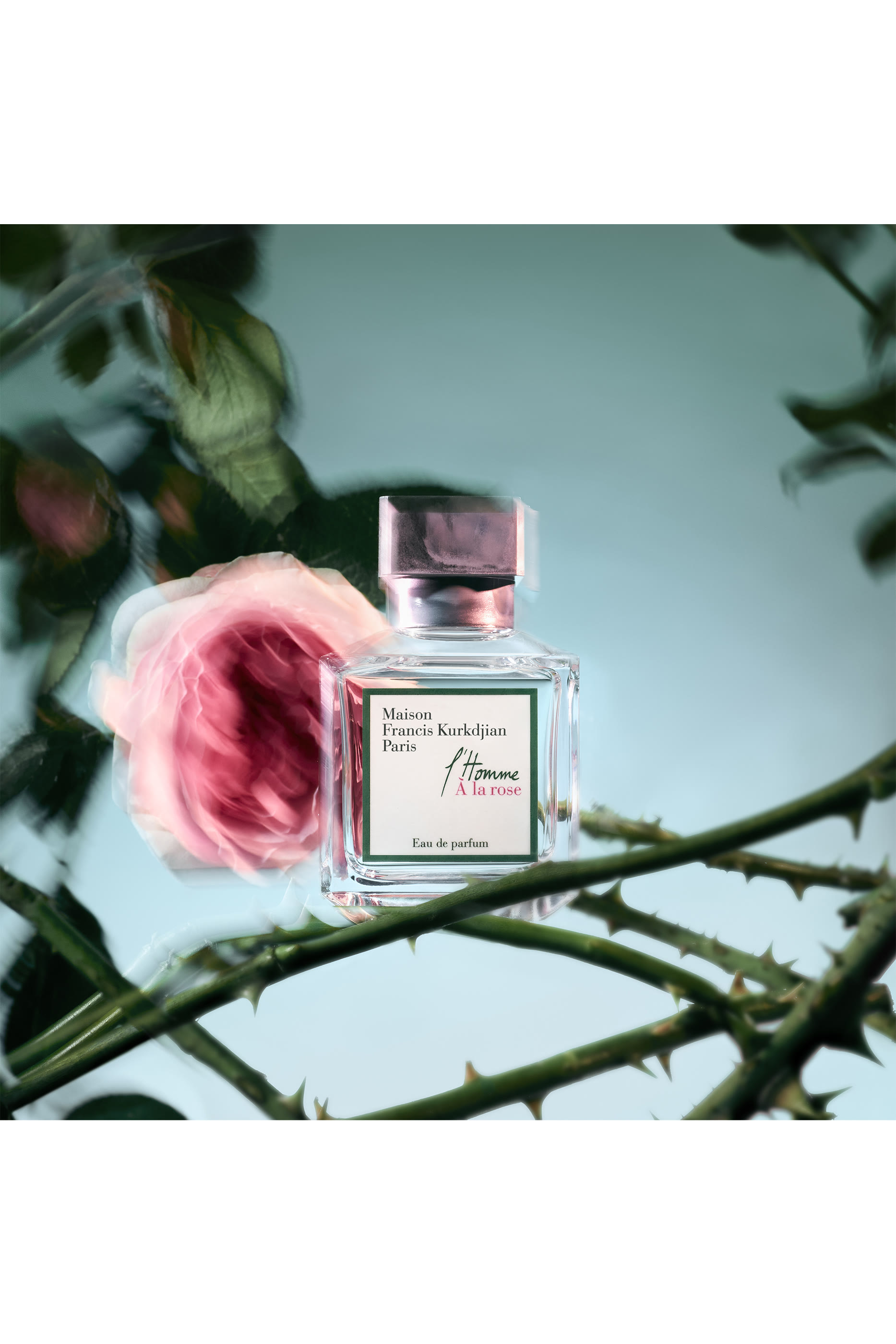 L'Homme À la Rose Eau de Parfum