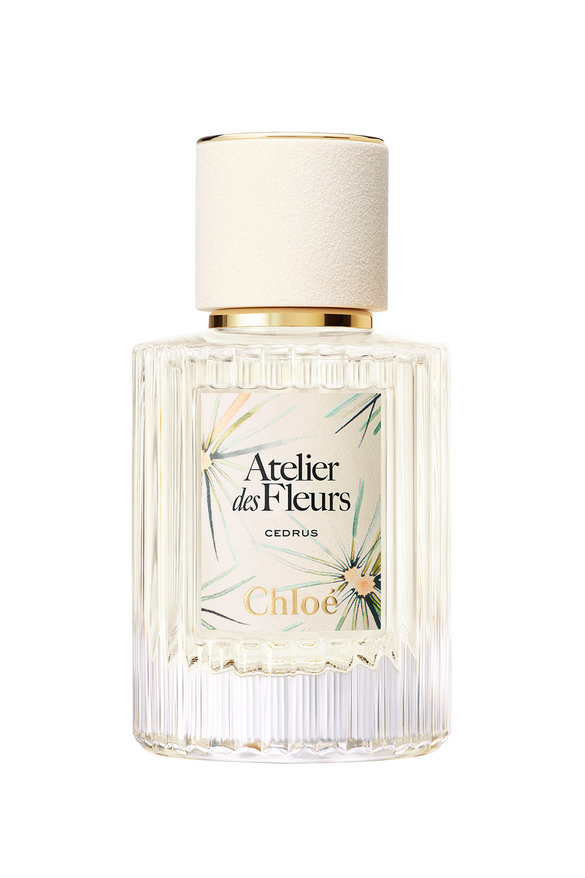 Atelier des Fleurs Cedrus Limited Edition Eau de Parfum 