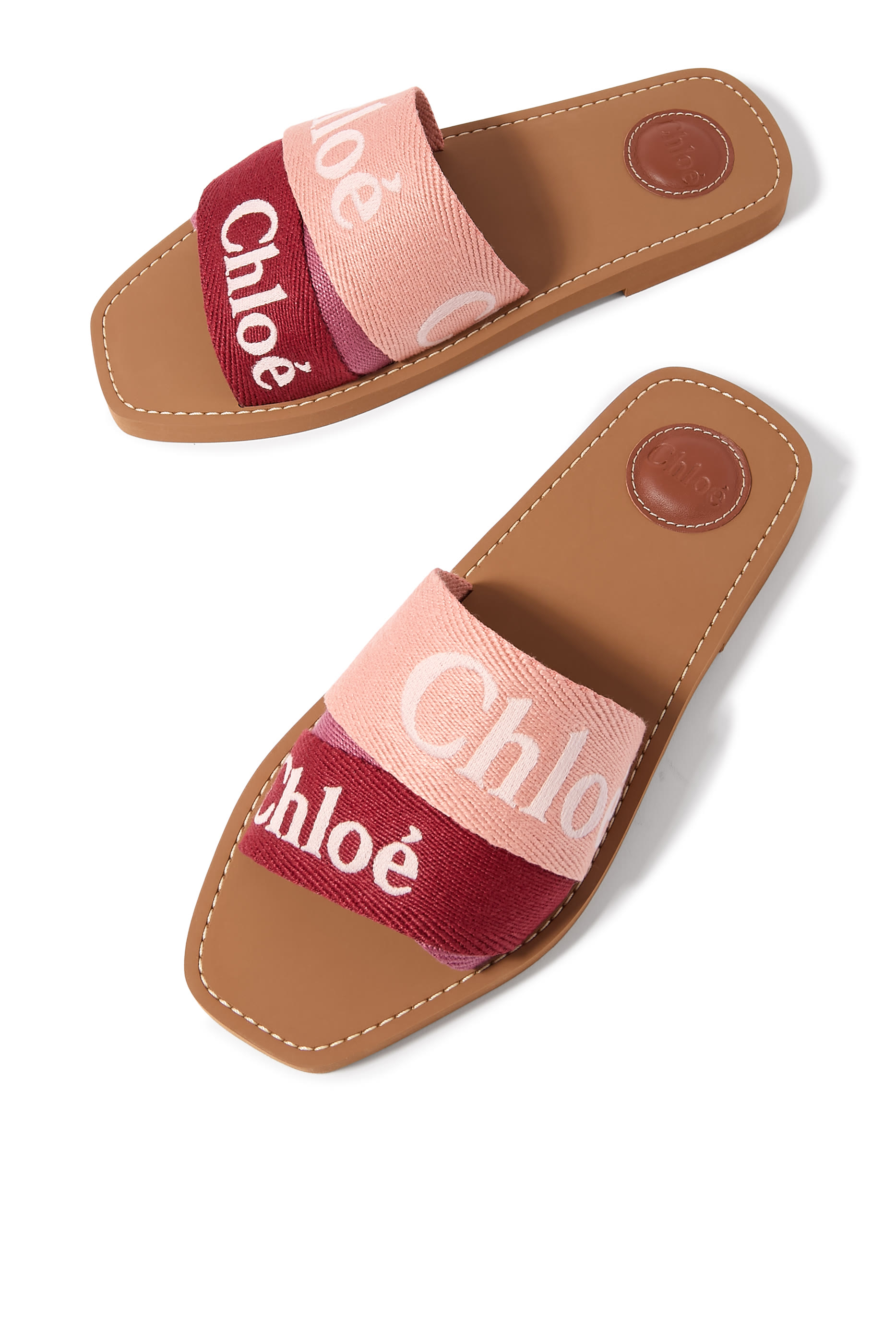 Woody Logo Canvas Slides