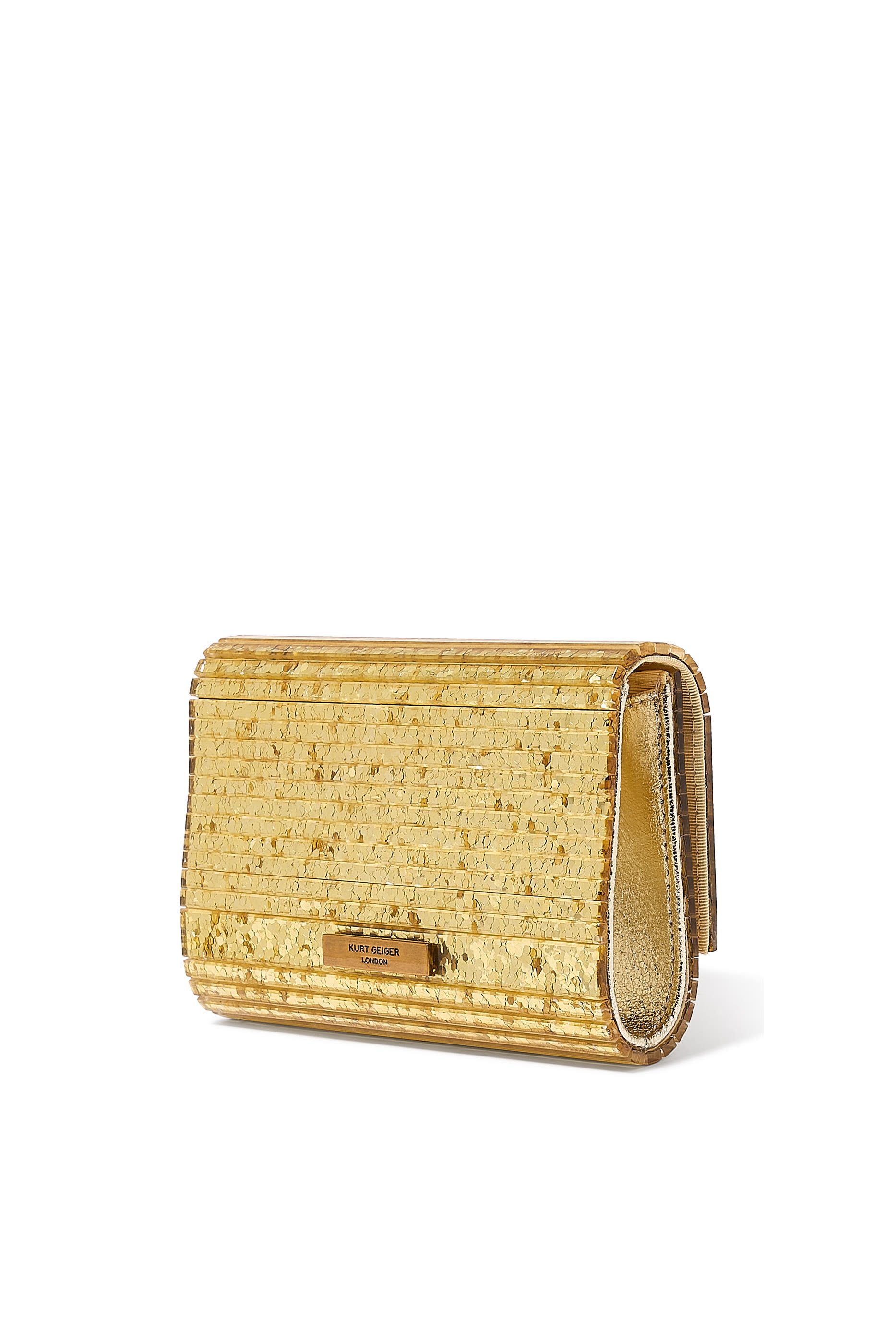 Party Eagle Plexi Envelope Clutch