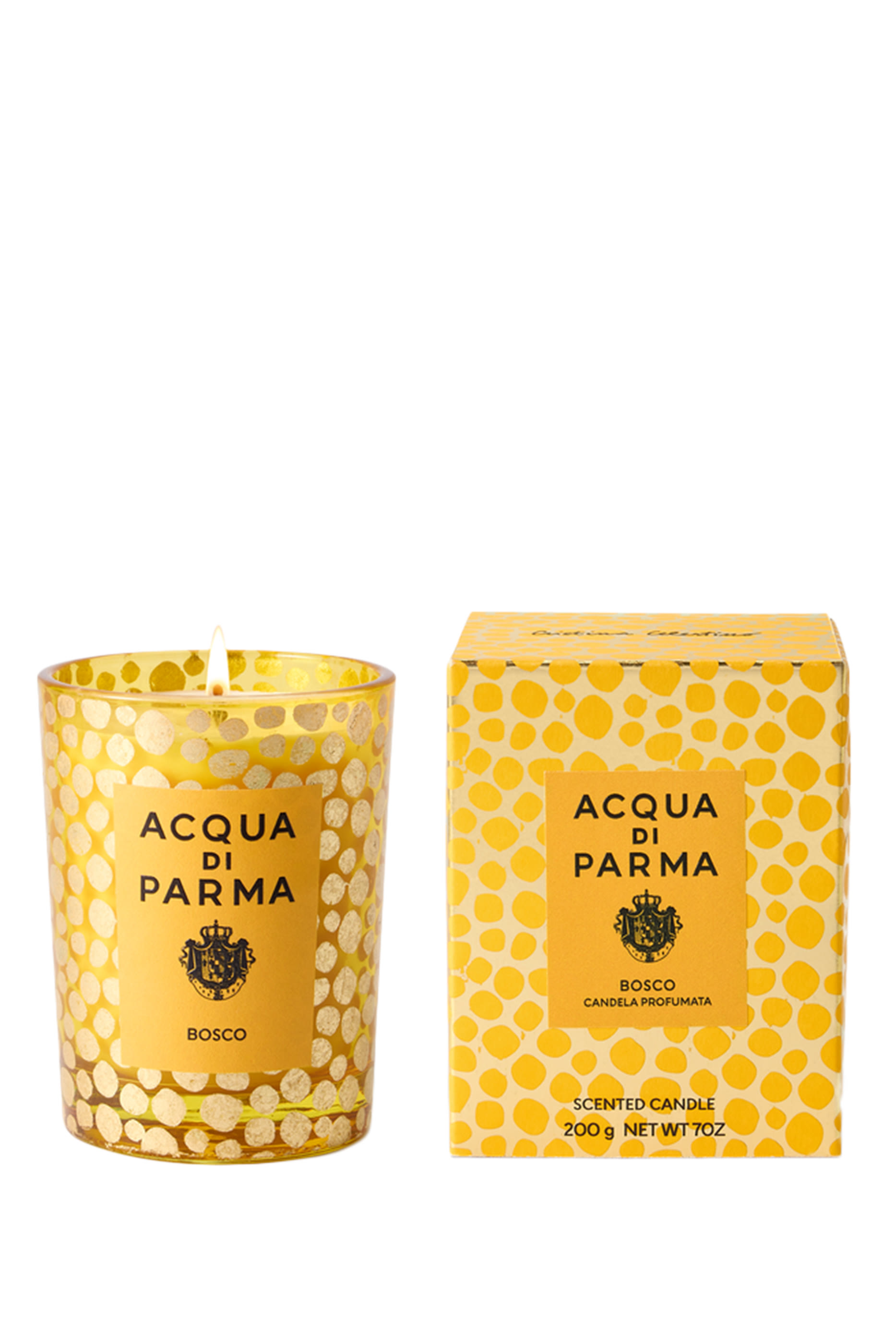 Bosco Candle &ndash; Holiday 2025 Edition