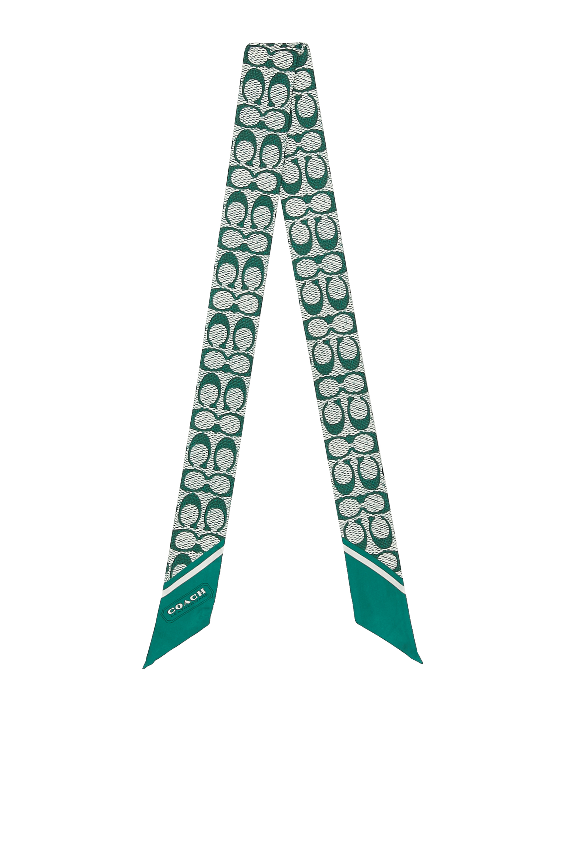 Vintage Signature C Printed Silk Skinny Scarf