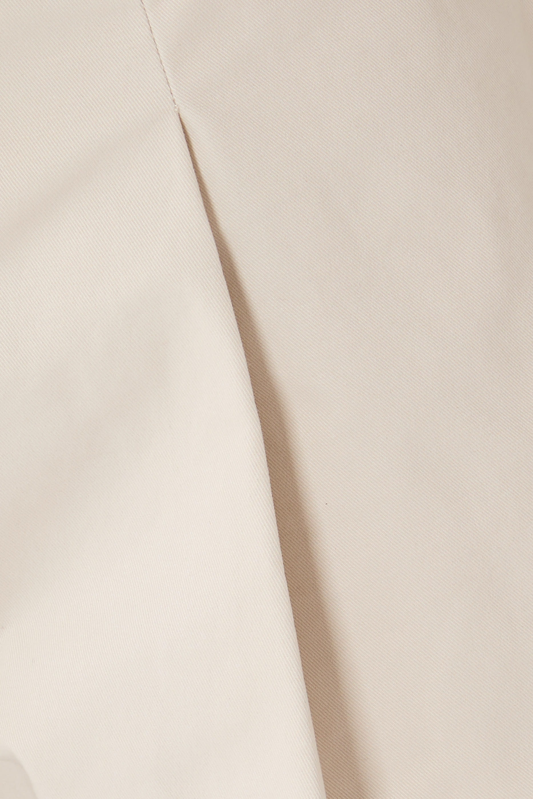 Pleated Wide-Leg Trousers
