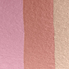 Blushed Peach (fn)