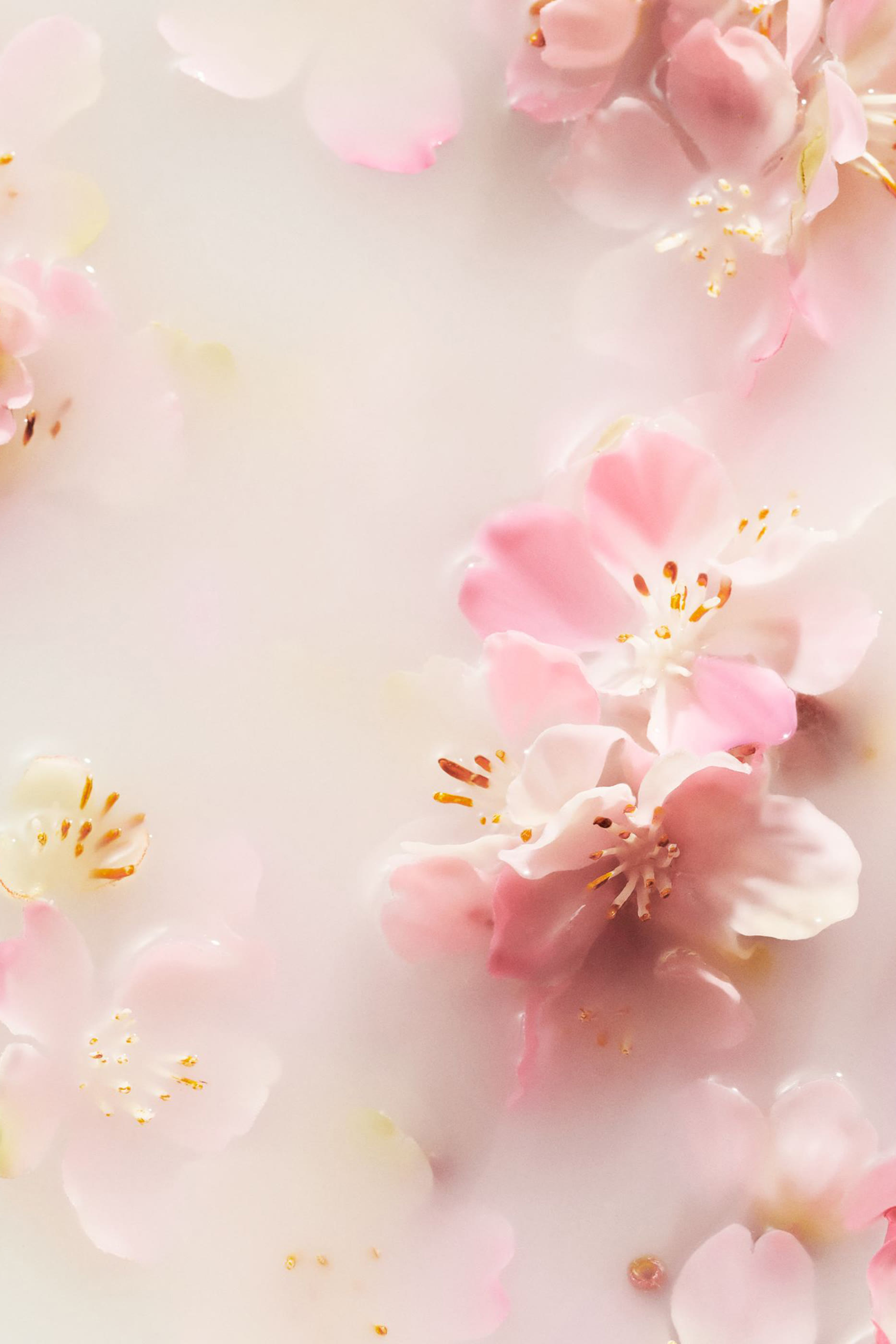 The Ritual of Sakura Small Gift Set