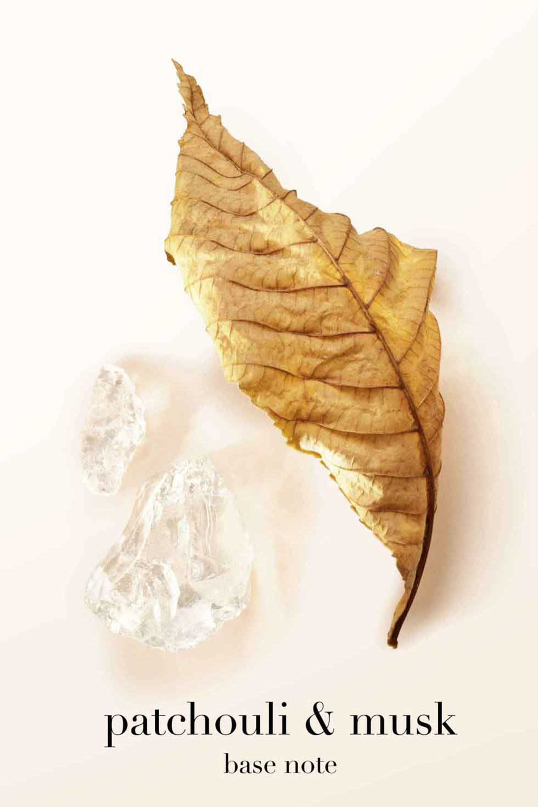 Sì Eau de Parfum Refill Bottle