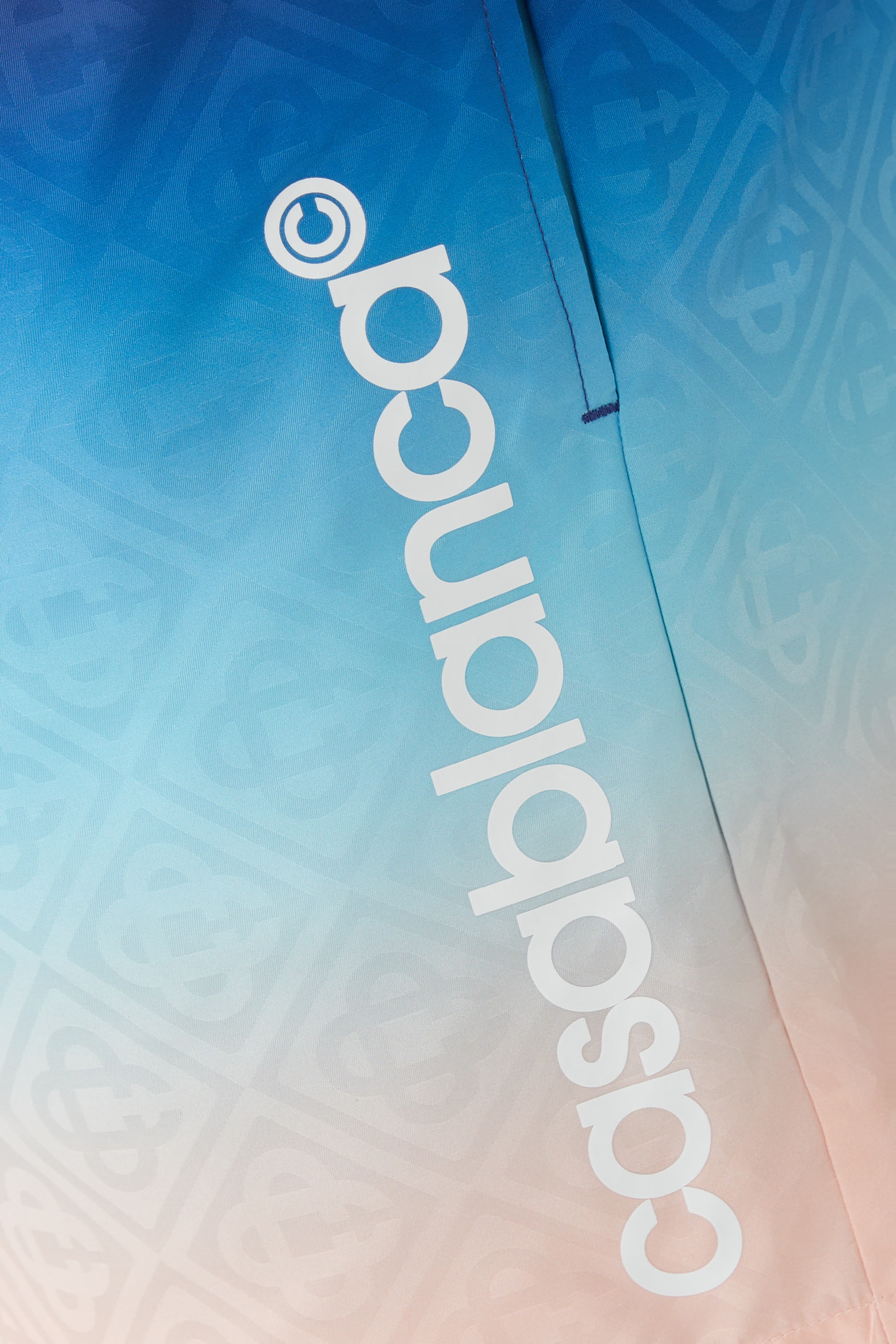 Jacquard Gradient Swim Shorts