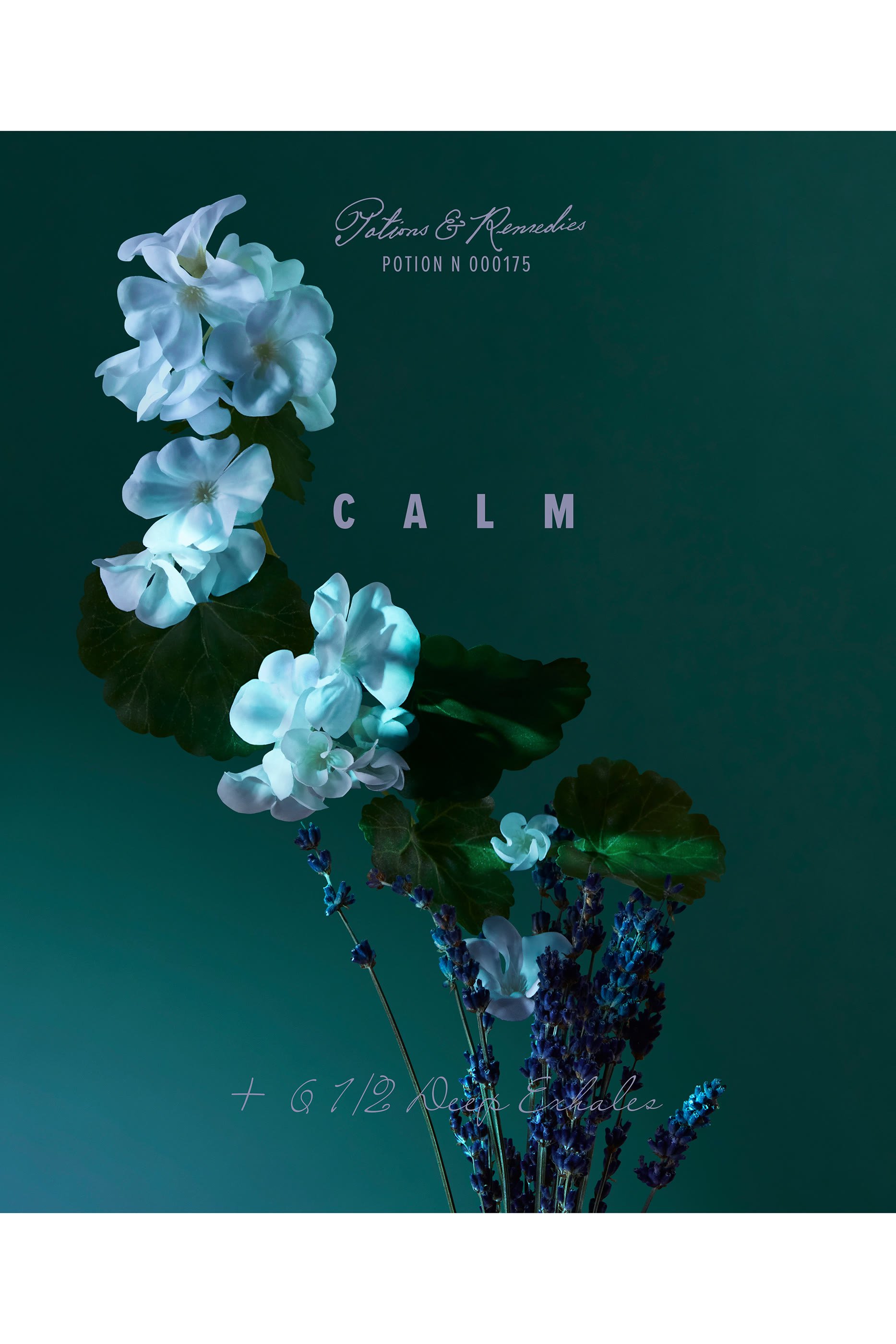 A Balm of Calm Eau de Parfum