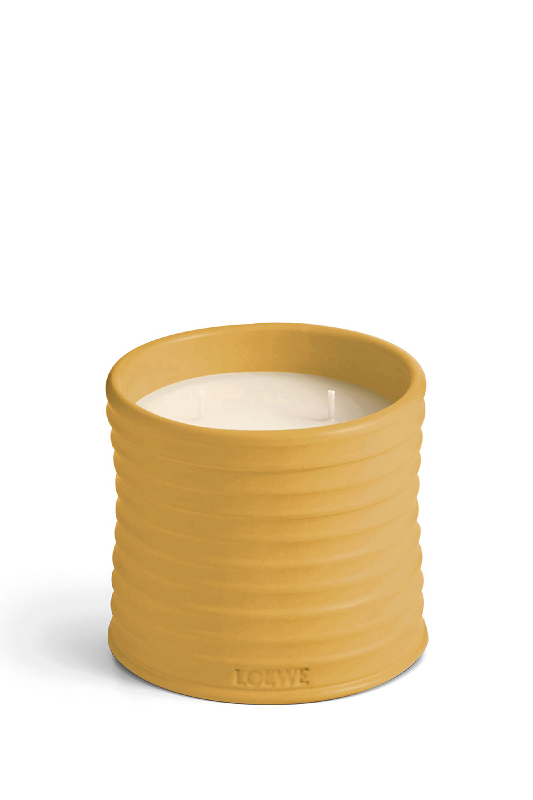 Large Wasabi Scented Candle