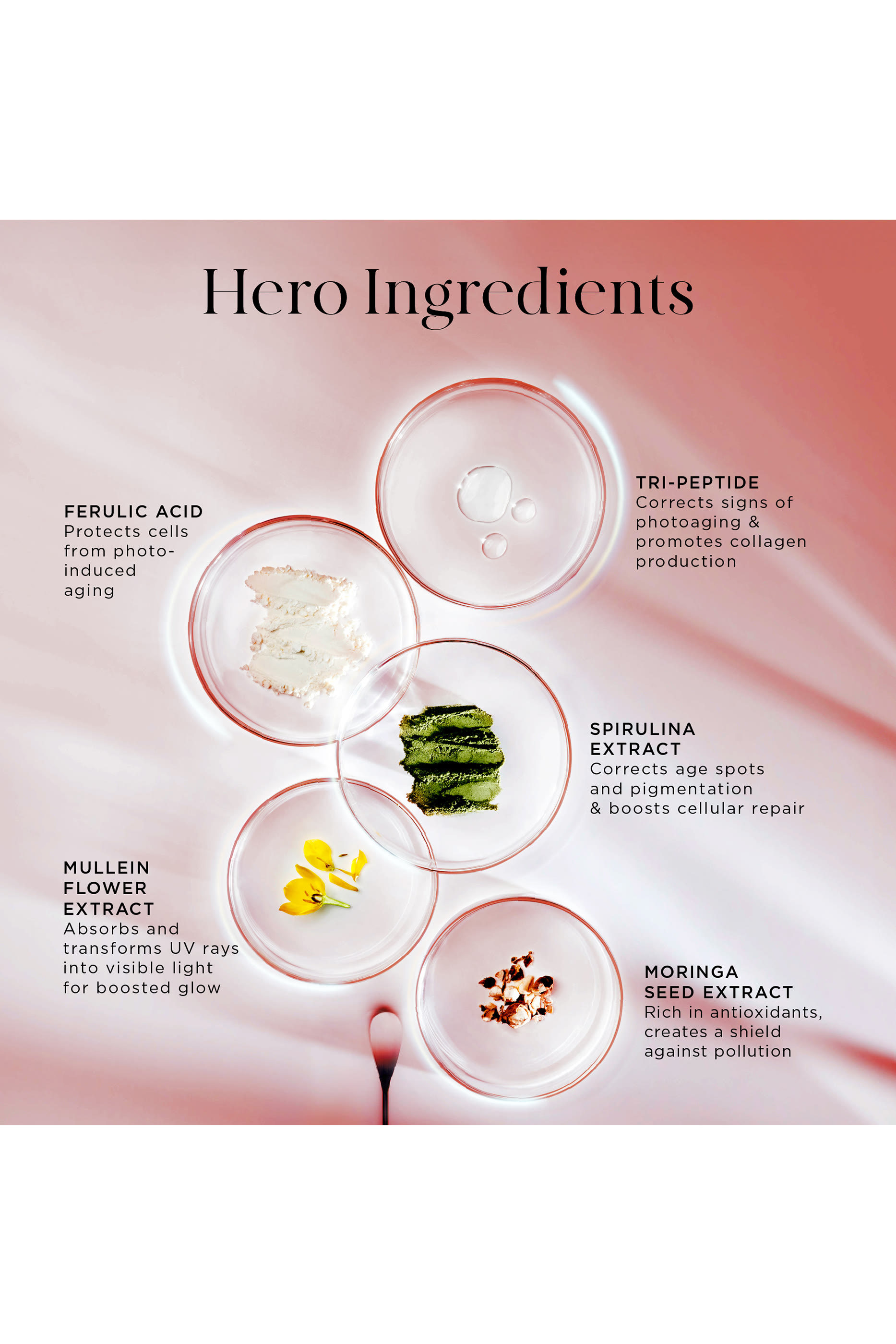 The Energist Multi-Defense Cram SPF50 Refill