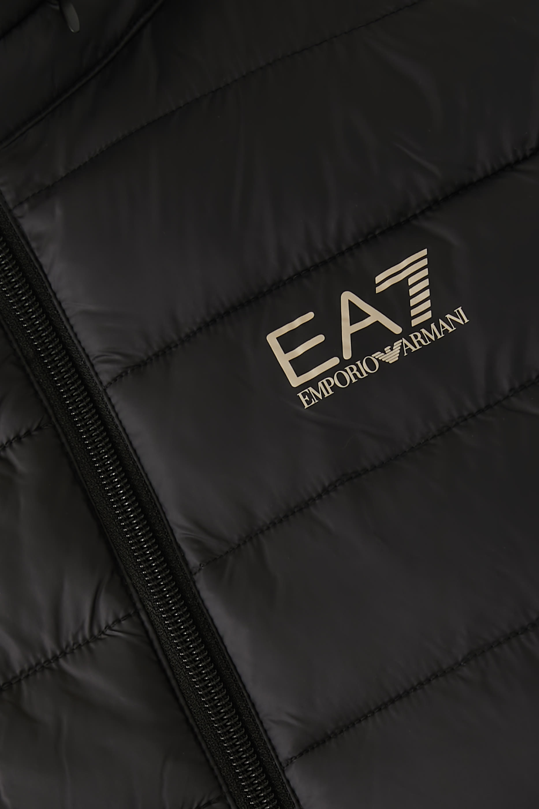 EA7 Logo Vest