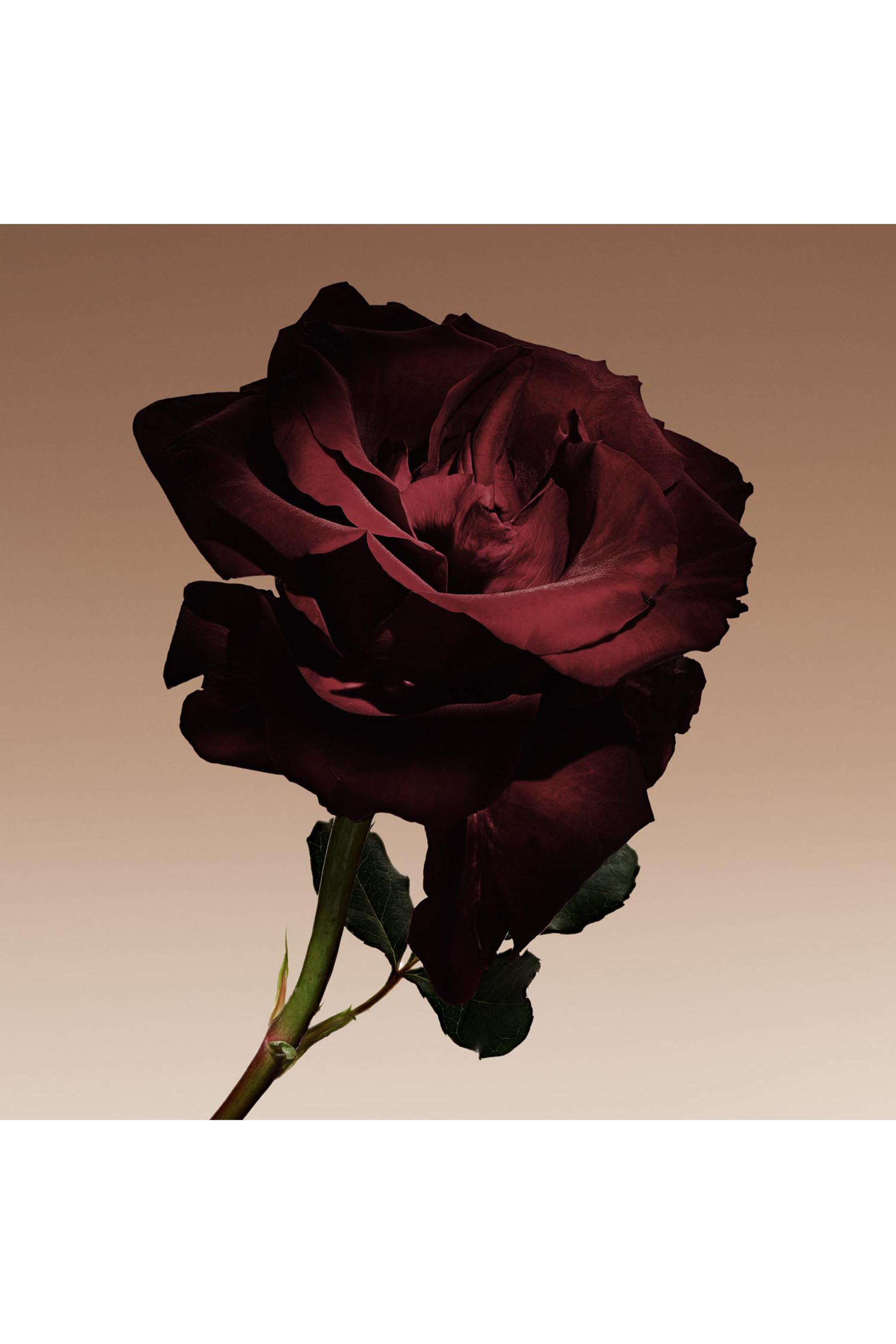 Privé Cuir Nu Eau De Parfum 