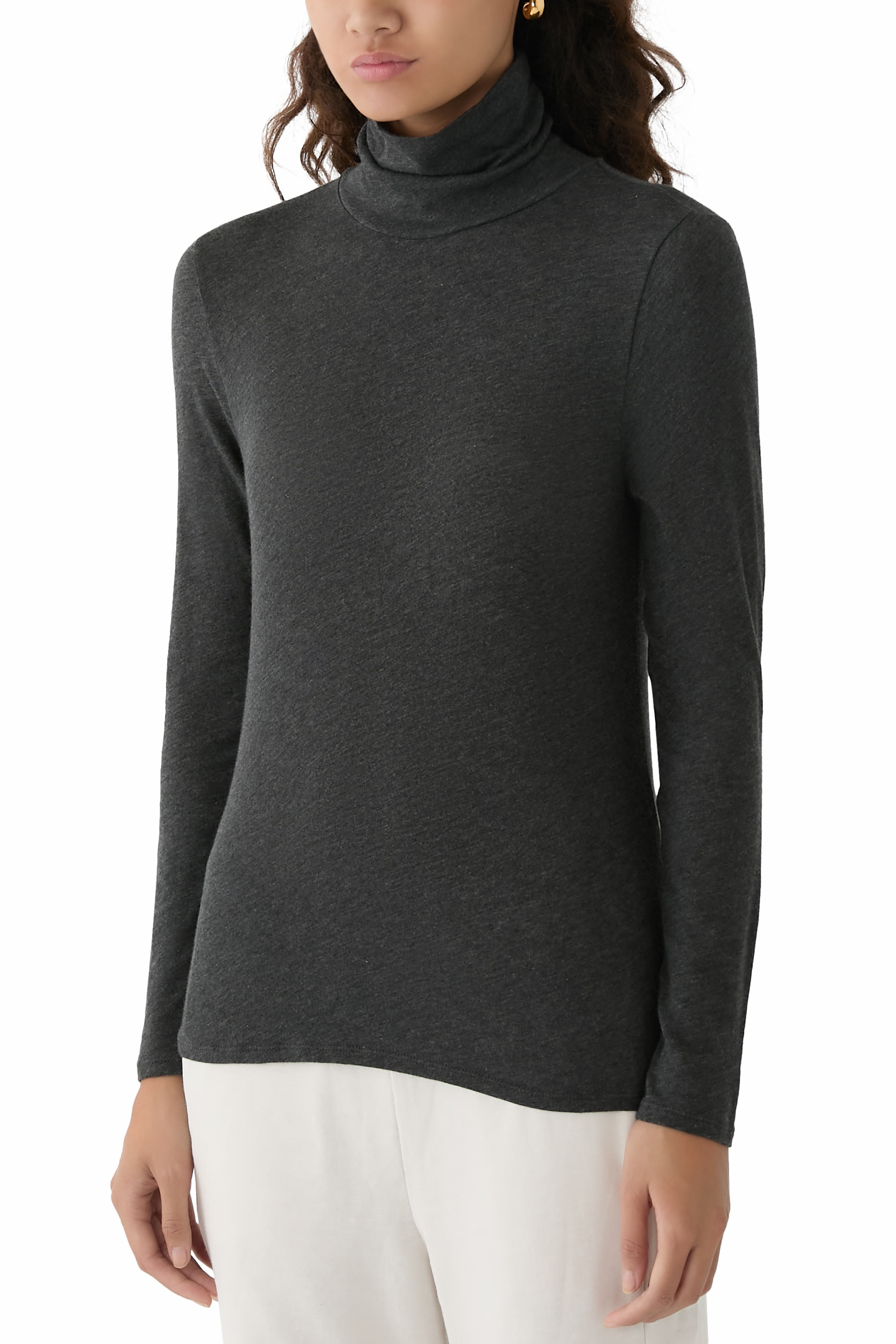 Sheer Knit Turtleneck Top